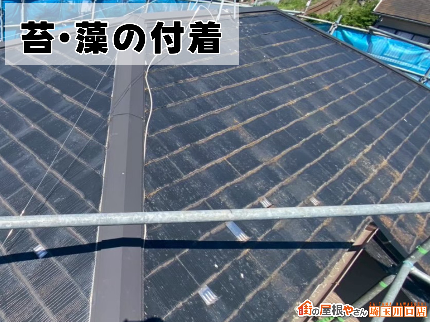 コケ・藻が付着した屋根