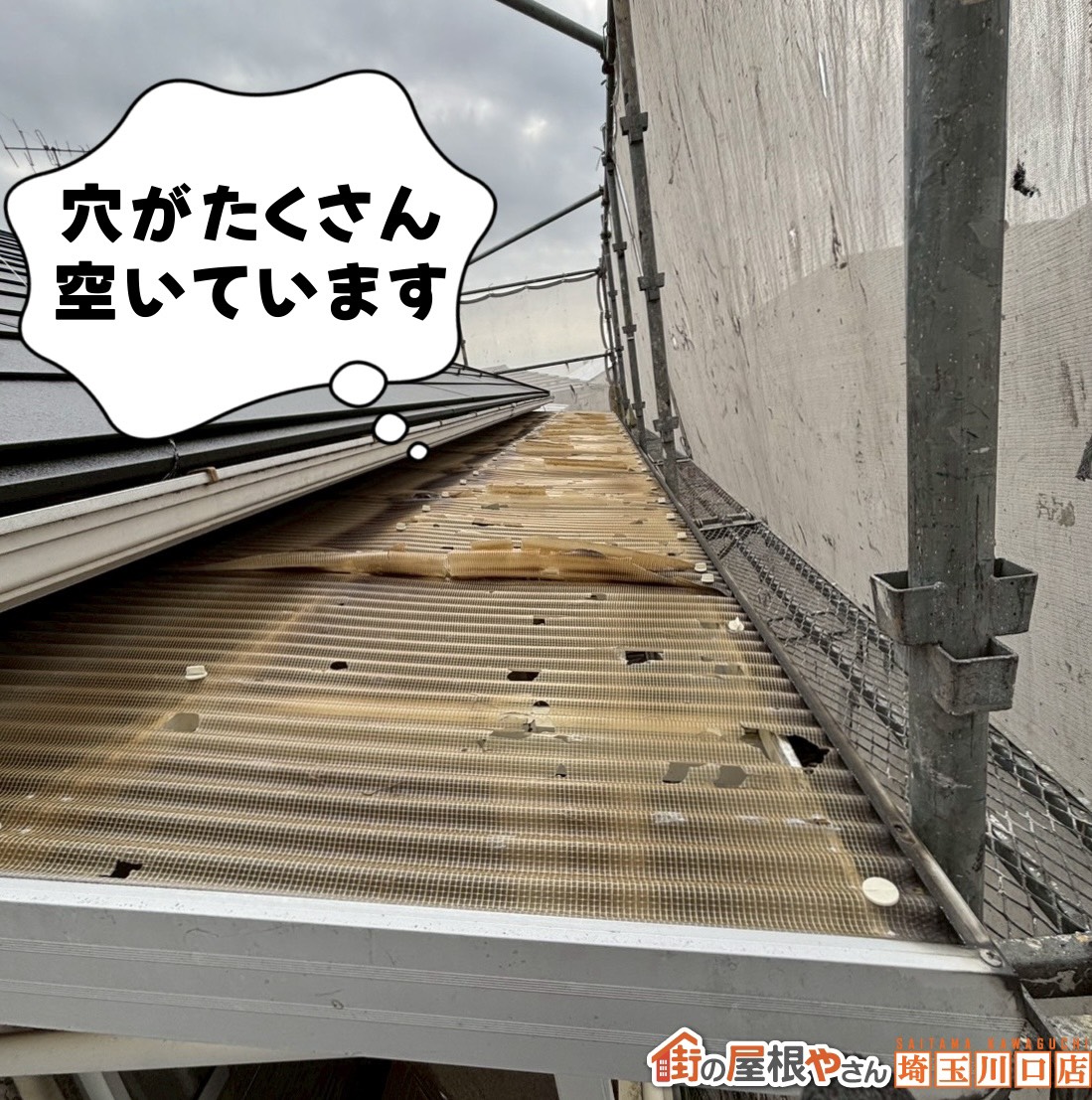 穴がたくさん空いています