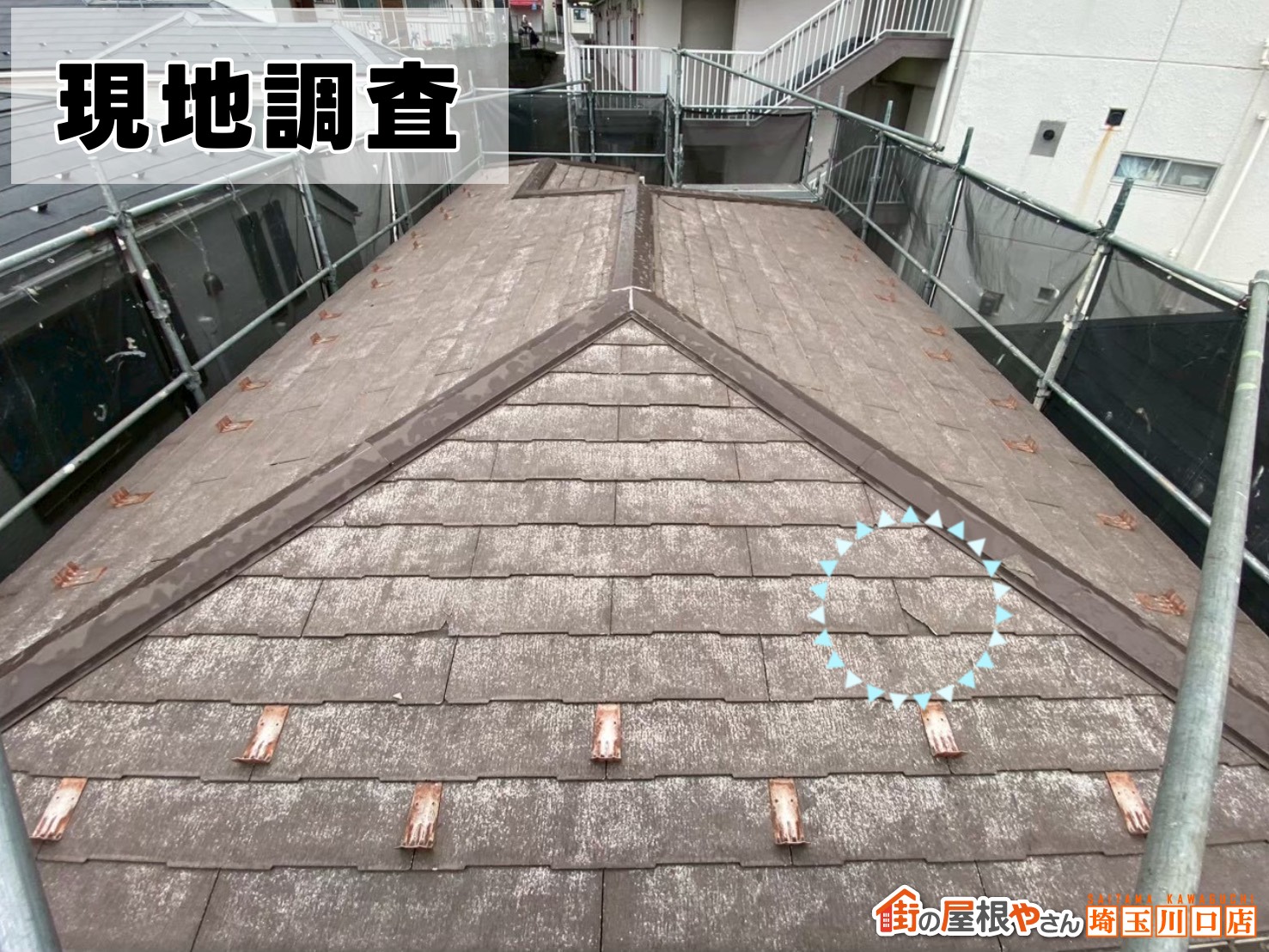 現地調査の様子