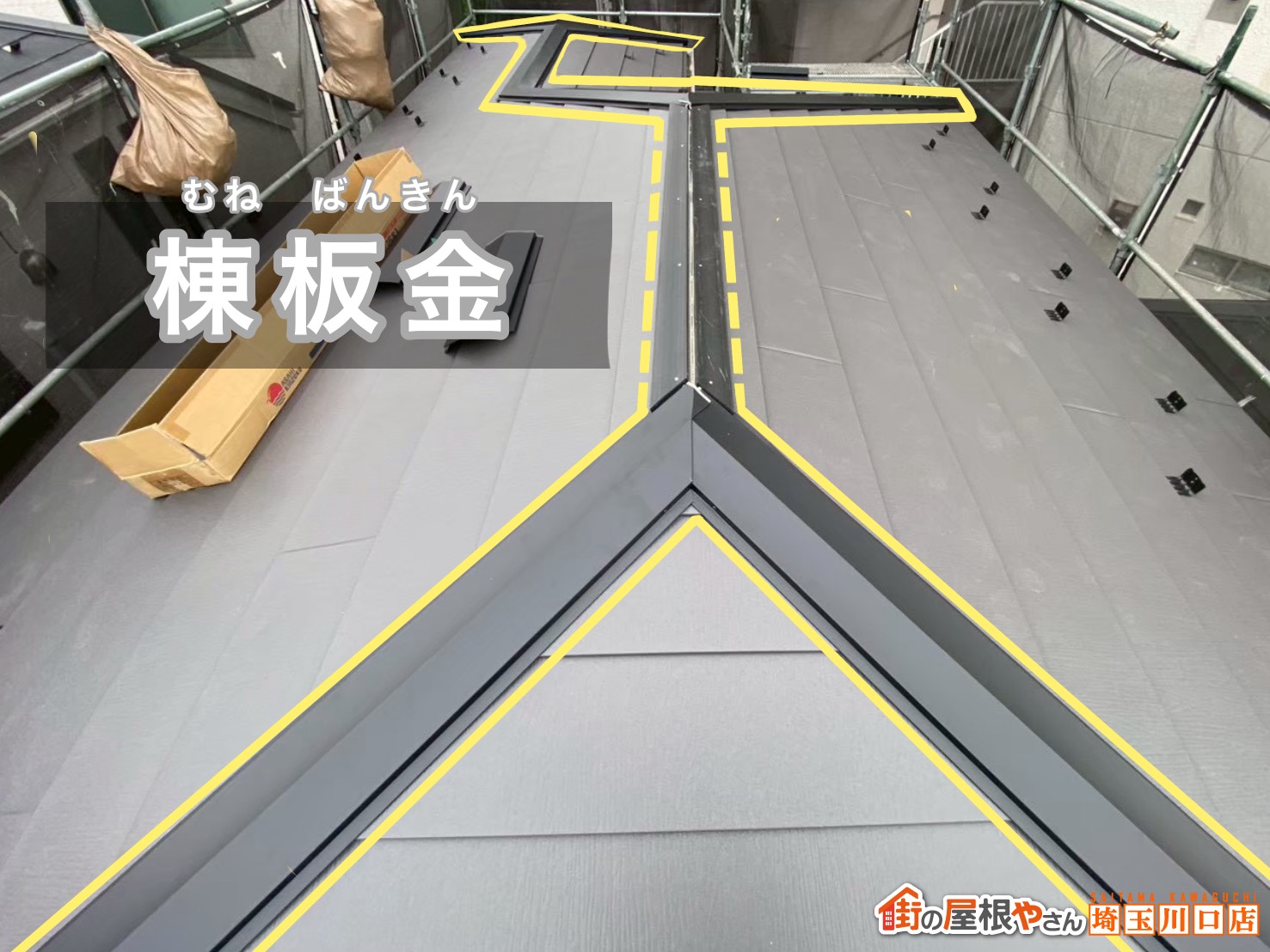 棟板金