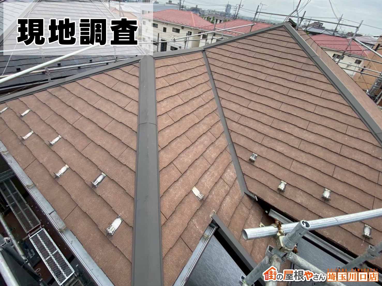 現地調査の様子