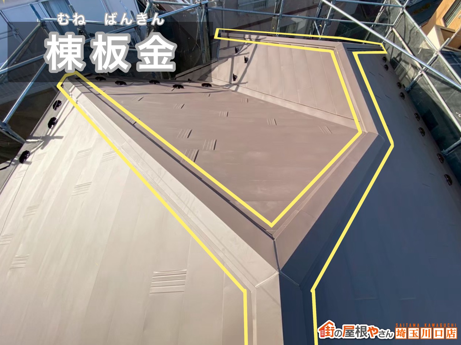 棟板金