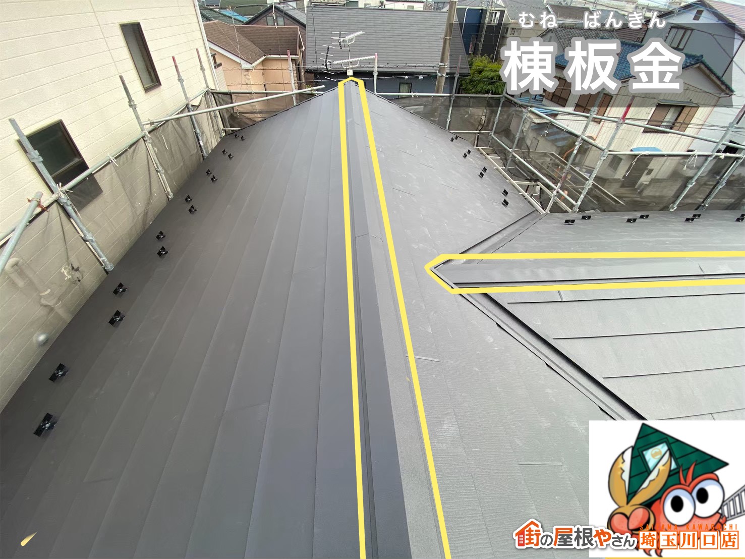 棟板金