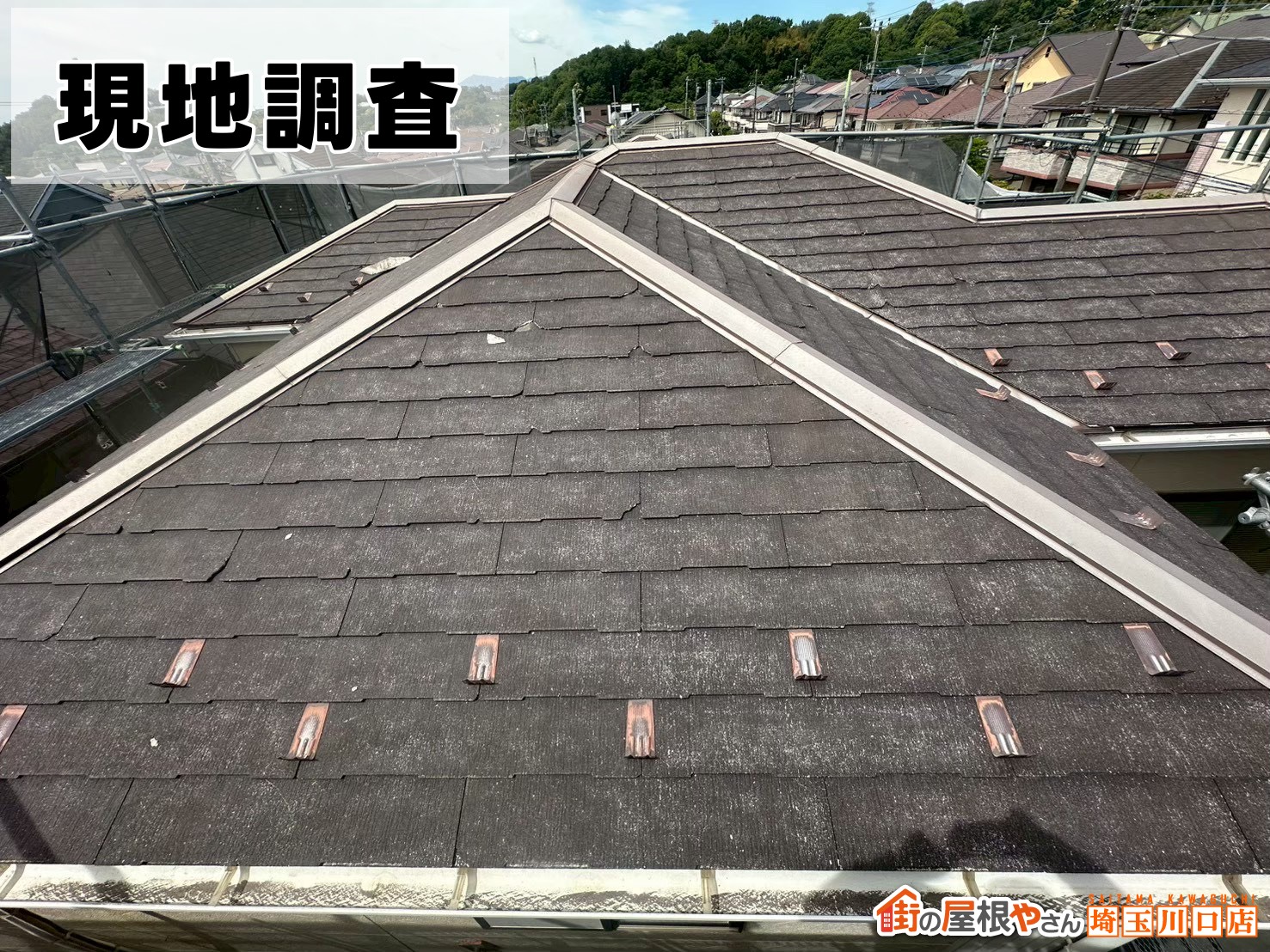 現地調査の様子