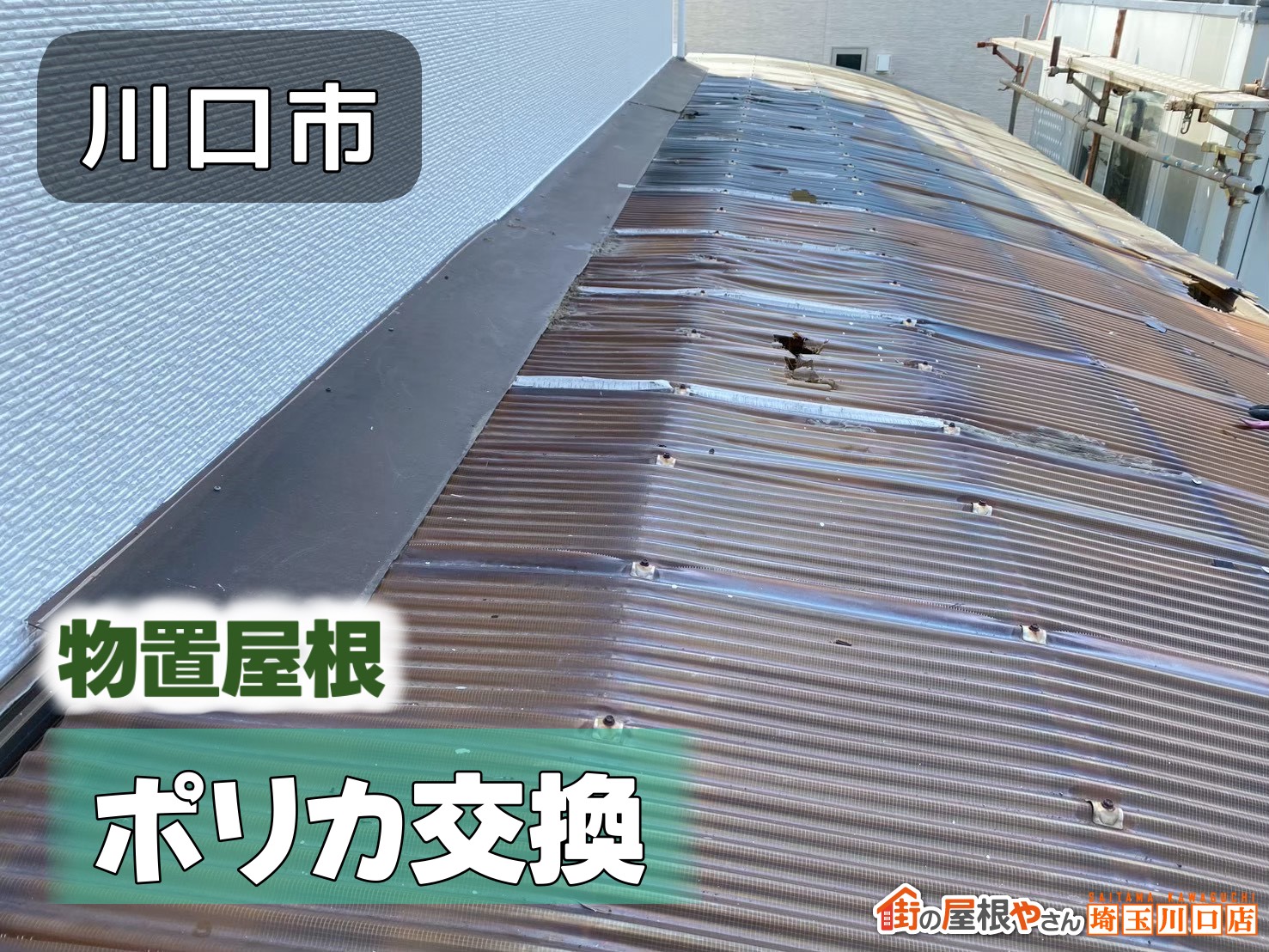 川口市　物置屋根ポリカ交換