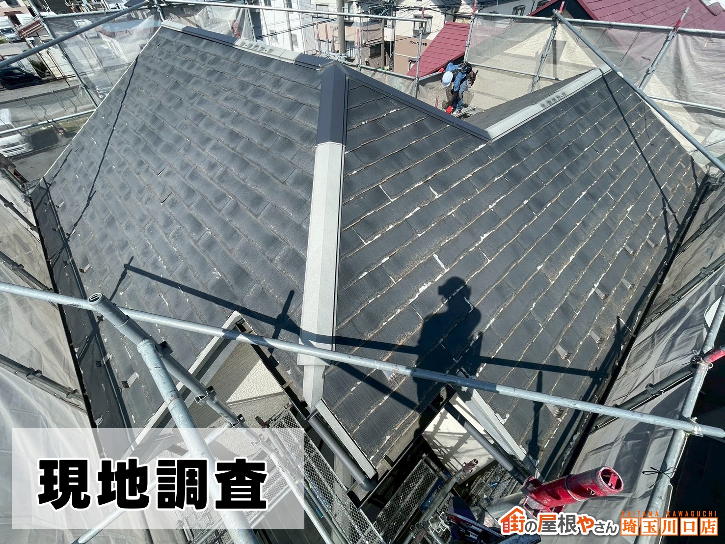 現地調査の様子