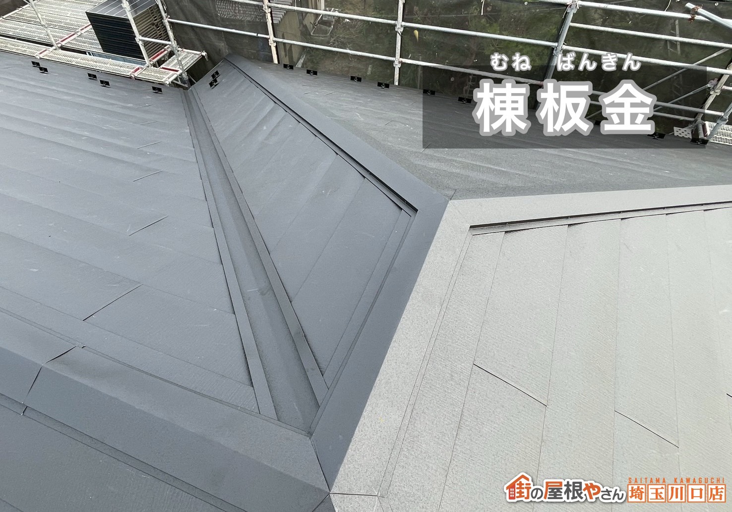 棟板金