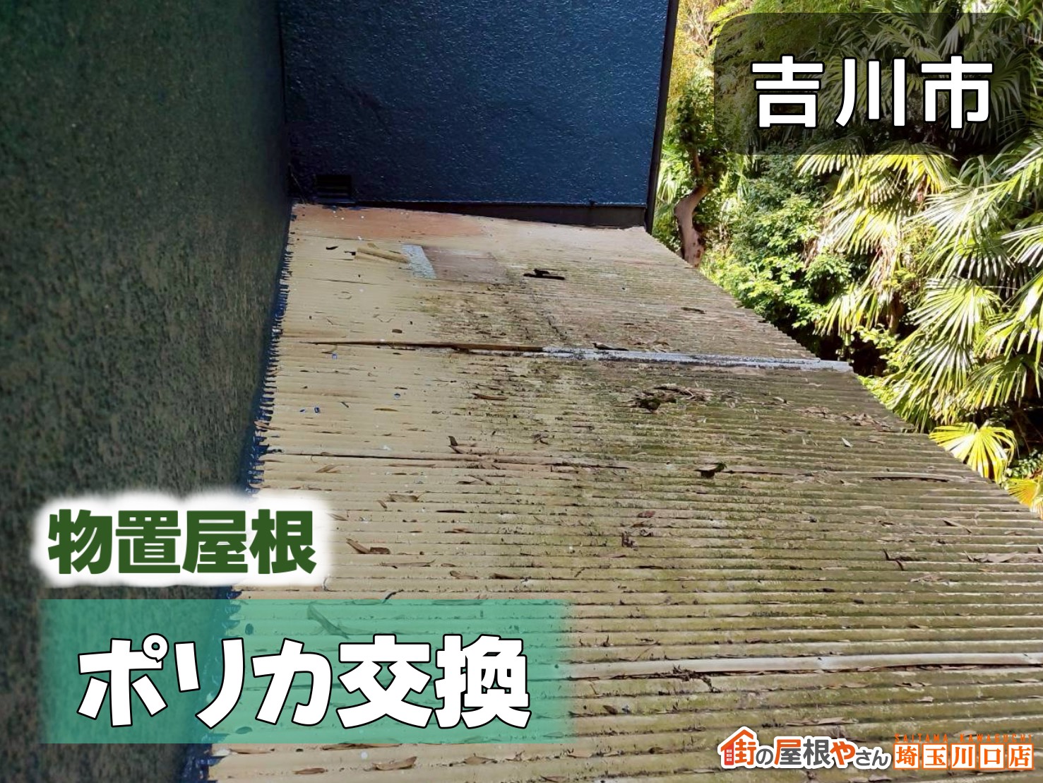 吉川市　物置屋根ポリカ交換