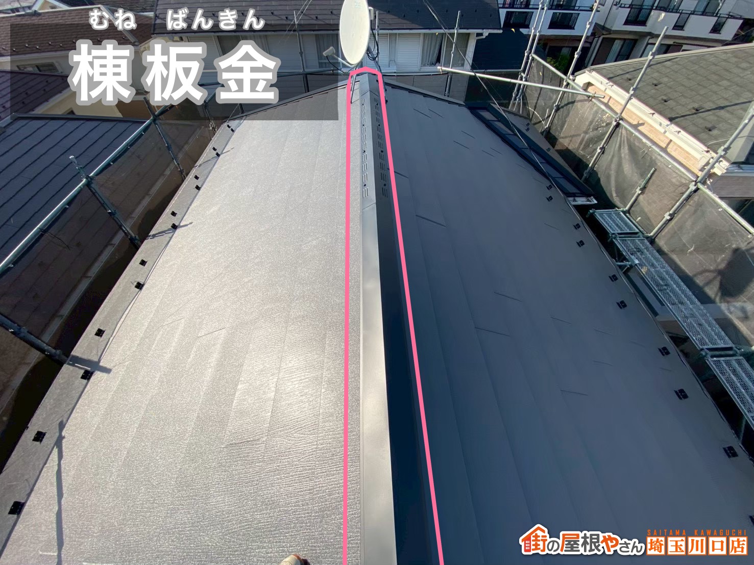 棟板金