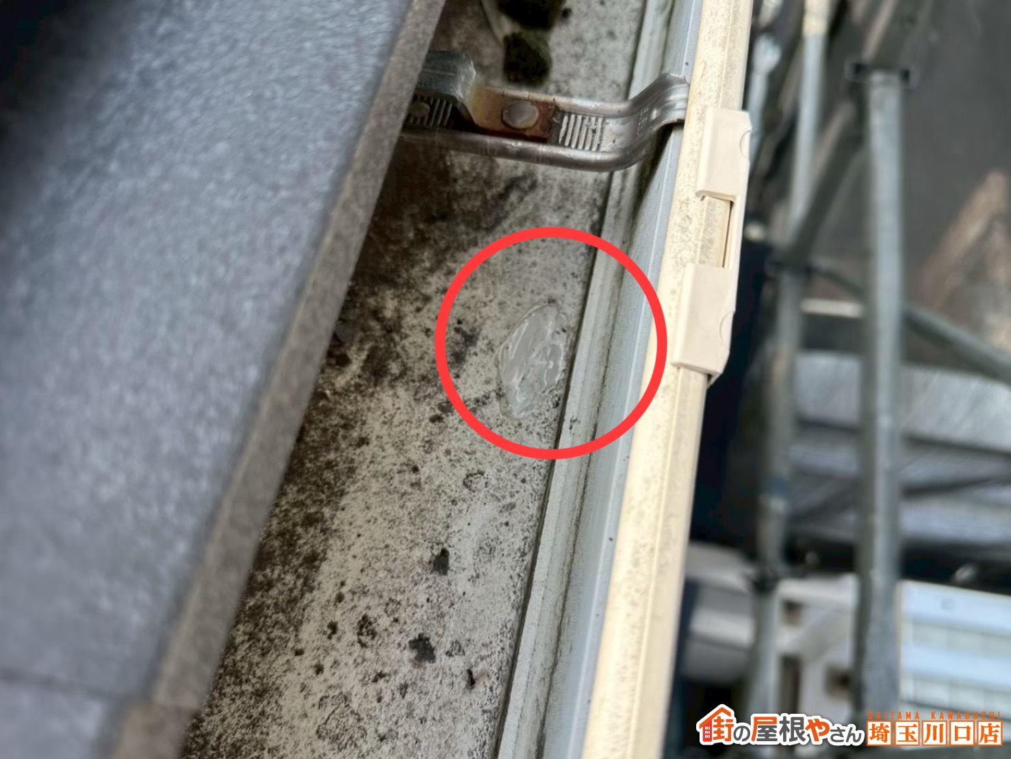 雨樋おまけ補修