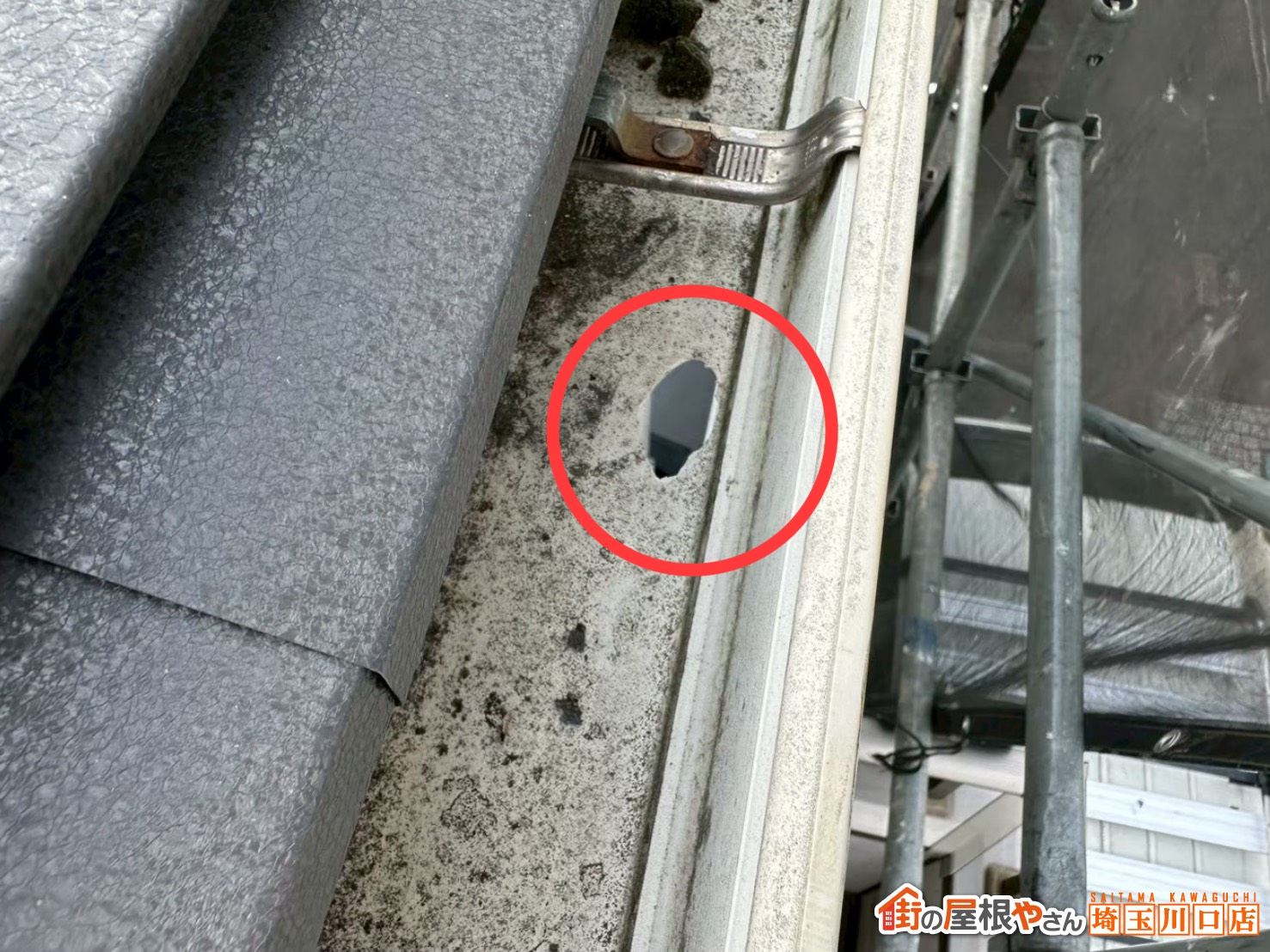雨樋に小さな穴