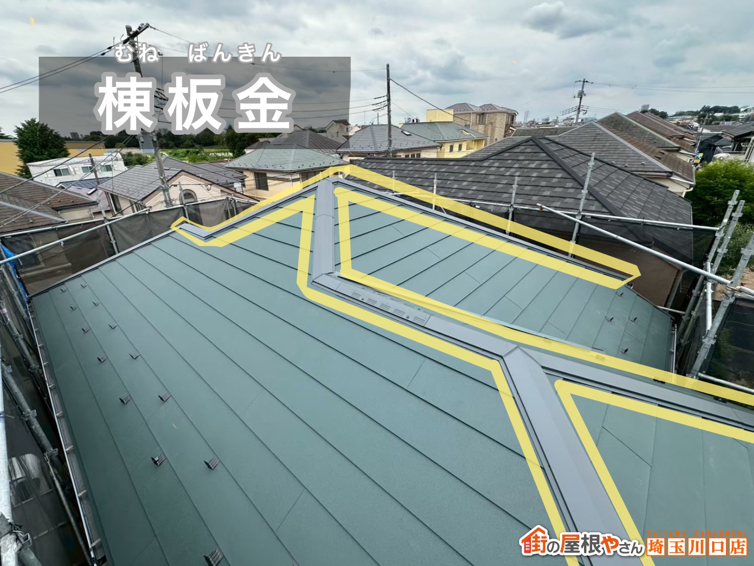 棟板金