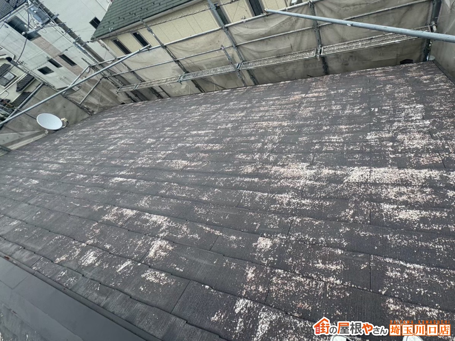 屋根面の劣化　塗膜剥離