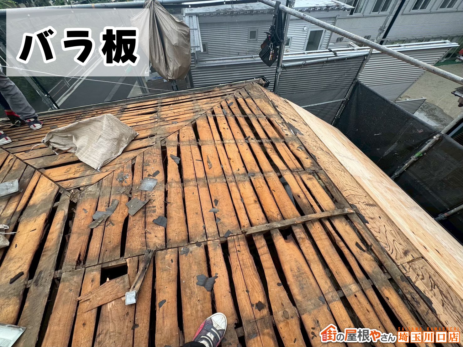バラ板