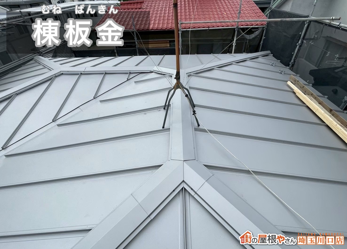 棟板金