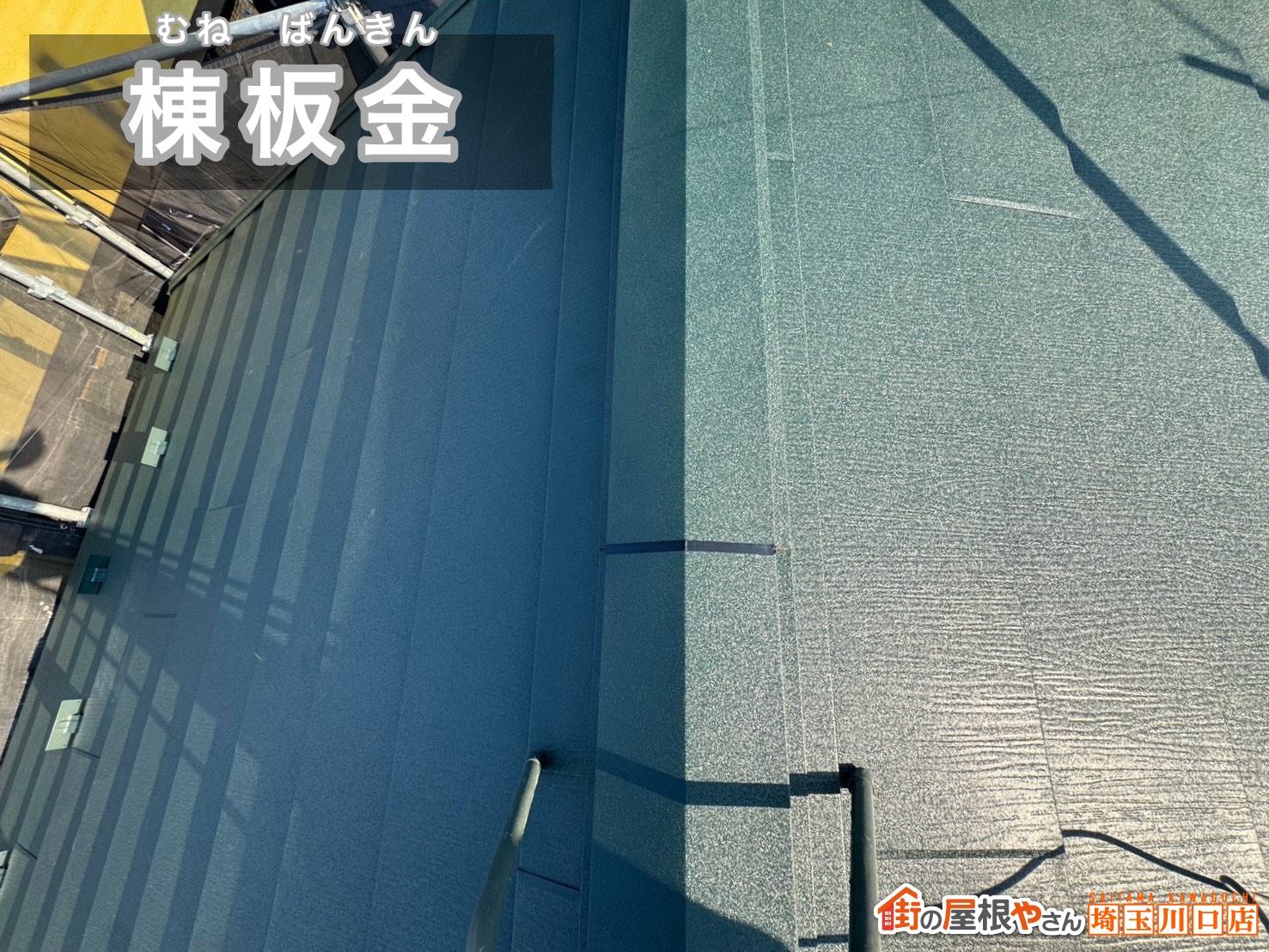 棟板金
