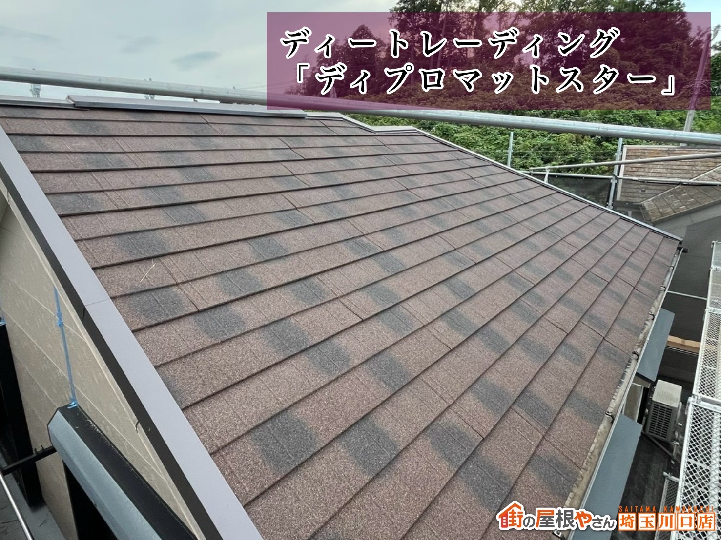 屋根材：ディートレーディング│ディプロマットスター