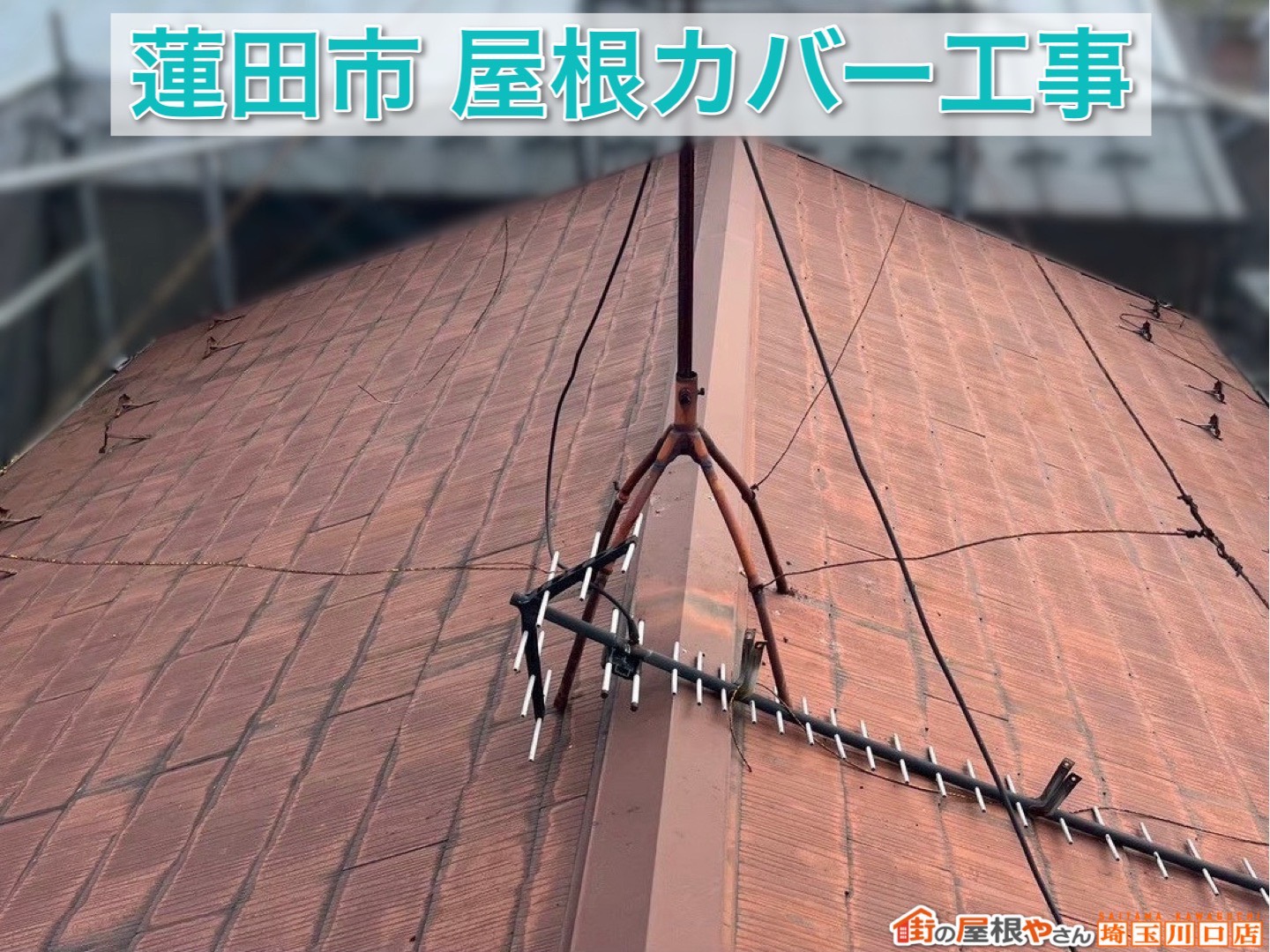 蓮田市｜人気屋根材「横暖ルーフαS」の魅力と施工の流れを徹底解説