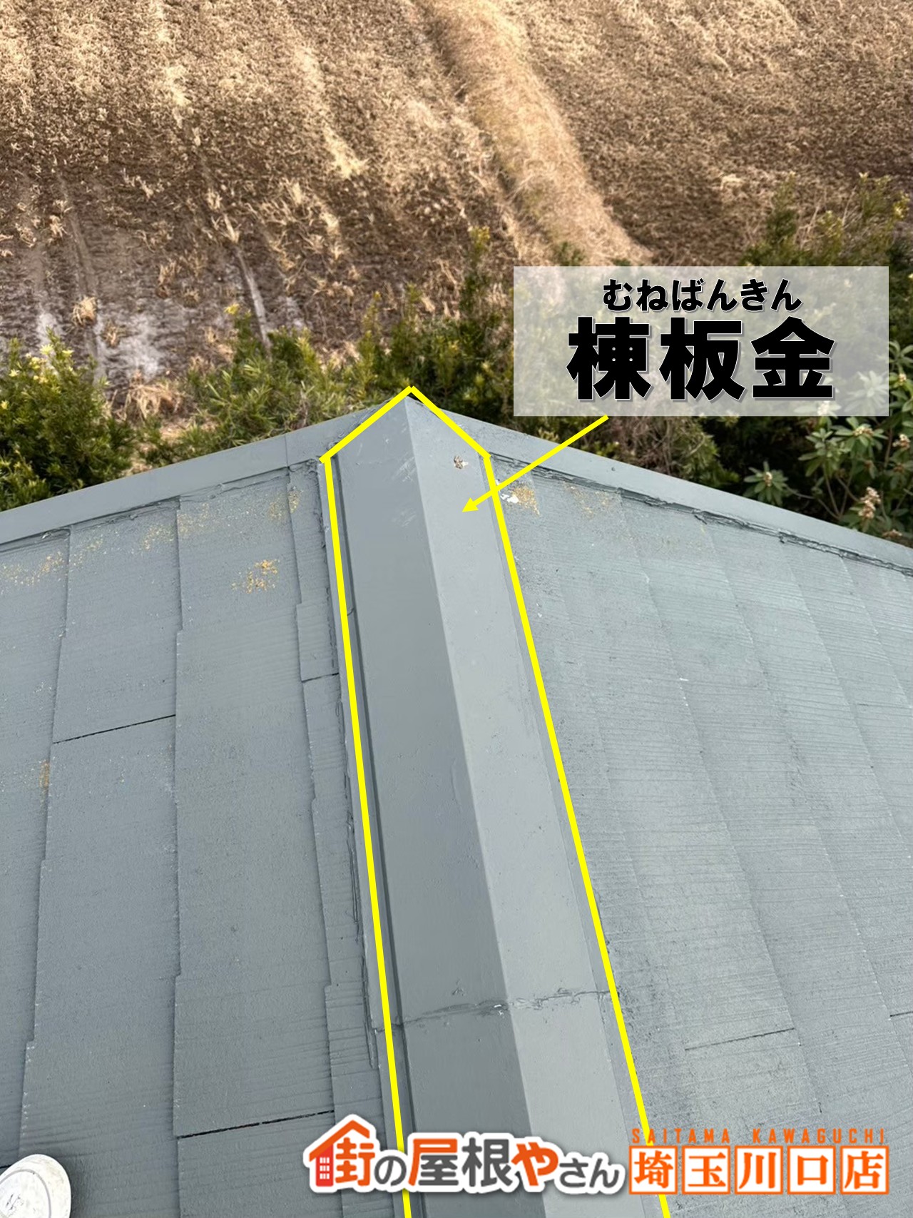 棟板金