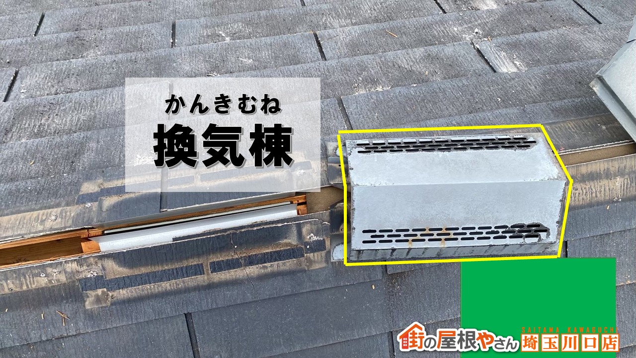 棟板金