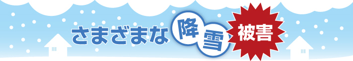 さまざまな降雪被害